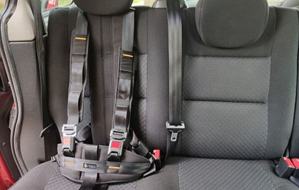 Careva Gurtsystem FiNiFuchs