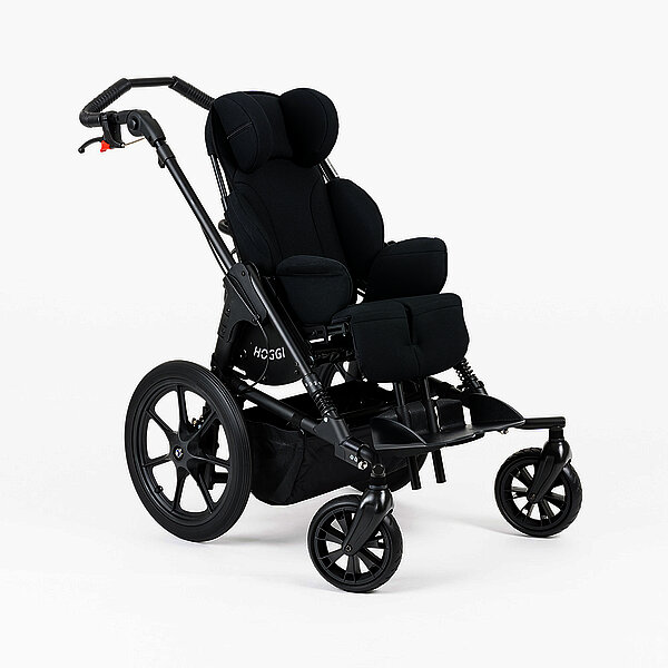 Rehabuggy-FiNiFuchs-Bingo SWITCH galerie 1