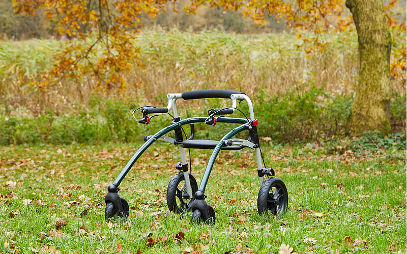 Crocodile AT-R82-Kindergehhilfe