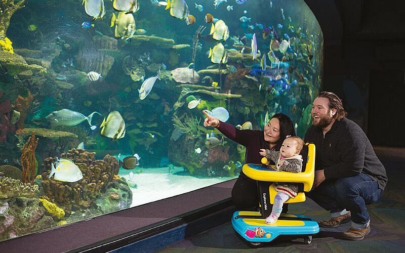 Explorer Mini_FiNiFuchs Permobil Kinderrollstuhl