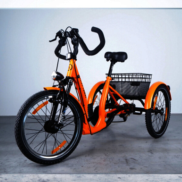 Hop_Trike_20_Zoll Therapierad Wolturnus FiNiFuchs