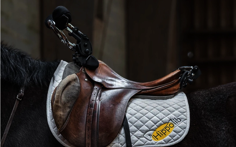 Finchtec-Ambiance Hippolib