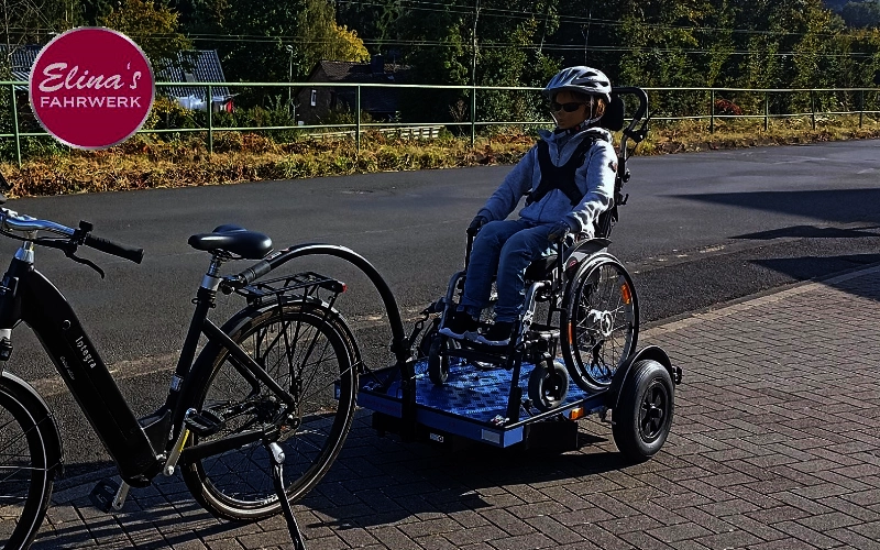 Fahrradanhaenger-Kinder Liverty FiNiFuchs