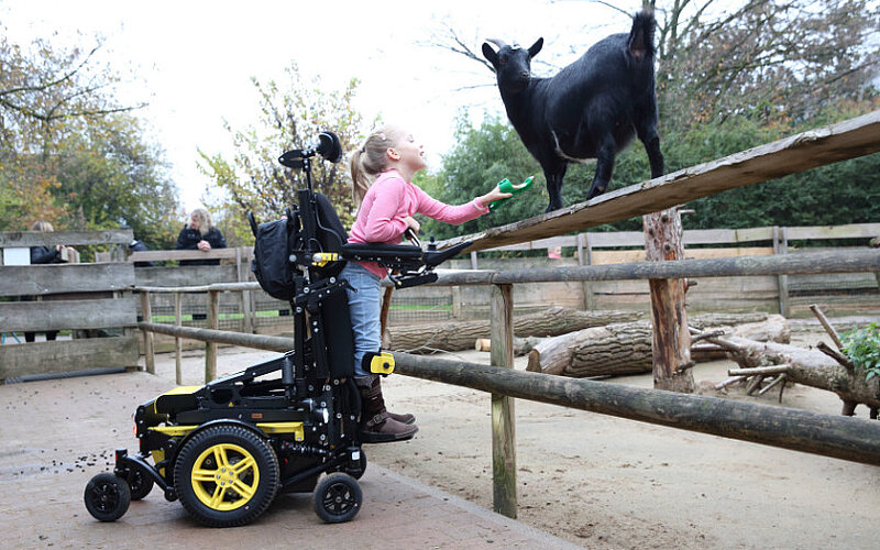 Stehständer Elektro Stehrollstuhl Kinderhilfsmittel Swiss Junior S FiNiFuchs Stehständer Elektro Stehrollstuhl Kinderhilfsmittel Swiss Junior S FiNiFuchs
