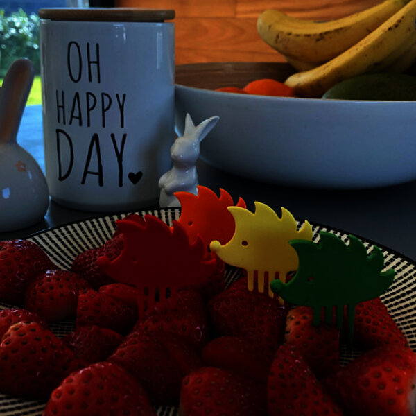 Piekser Kinder Behinderung FiNiFuchs Kinderhilfsmittel