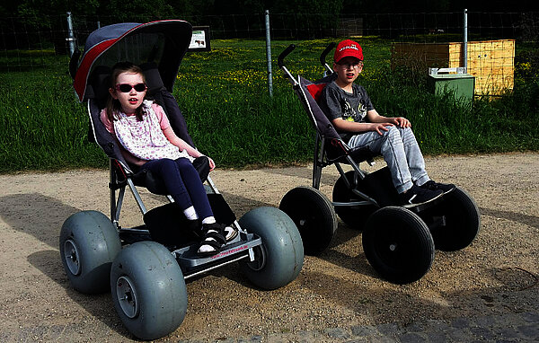 Elinas Fahrwerk Geländebuggy FiNiFuchs XL Nature Elinas Fahrwerk Geländebuggy FiNiFuchs XL Nature