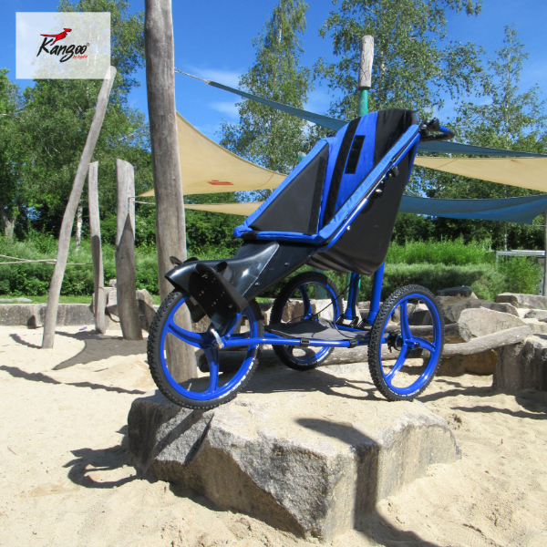 Kangoo Classic Rehawagen Finifuchs